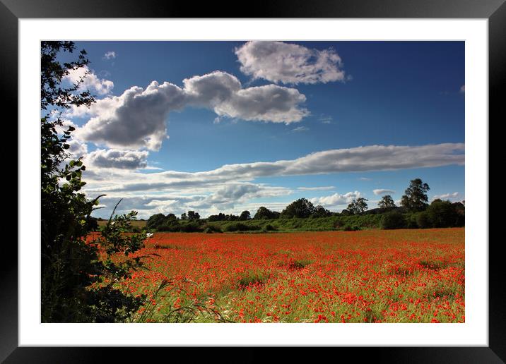 Bewdley Poppy field Framed Mounted Print by Susan Snow