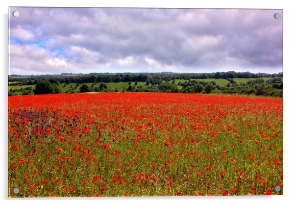Poppy Field in the Cotswolds Acrylic by Susan Snow