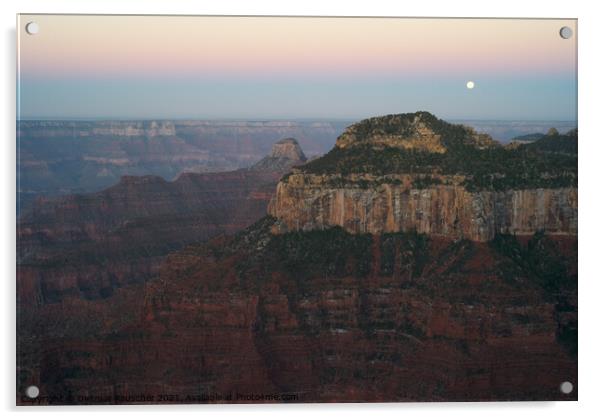 Grand Canyon Dawn with Moon Acrylic by Dietmar Rauscher