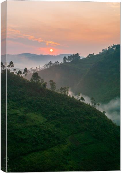 Sunrise in Bwindi Impenetrable Forest, Uganda Canvas Print by Dietmar Rauscher
