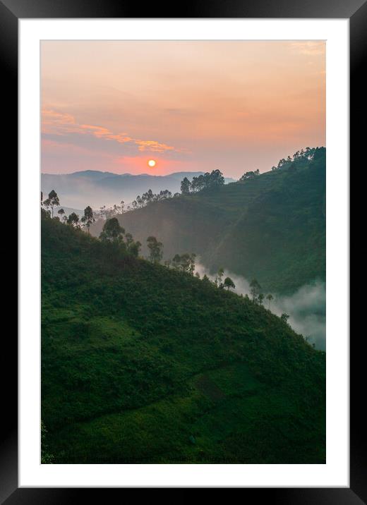 Sunrise in Bwindi Impenetrable Forest, Uganda Framed Mounted Print by Dietmar Rauscher