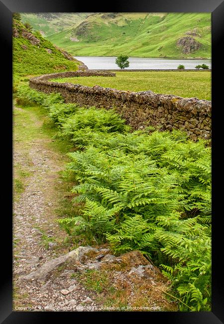 Crummock Water Framed Print by Philip Baines