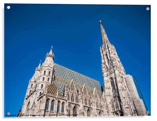 Saint Stephens Cathedral in Vienna, Austria Acrylic by Dietmar Rauscher