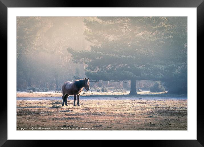 Lonely Pony Framed Mounted Print by Brett Gasser
