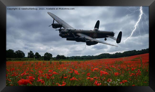 Lancaster Bomber Flying Over A Poppy Field With Li Framed Print by rawshutterbug 