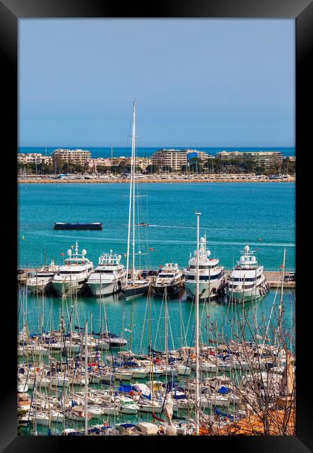 Port of Cannes in France Framed Print by Artur Bogacki