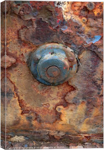 Rusty old thing  Canvas Print by Antoinette B