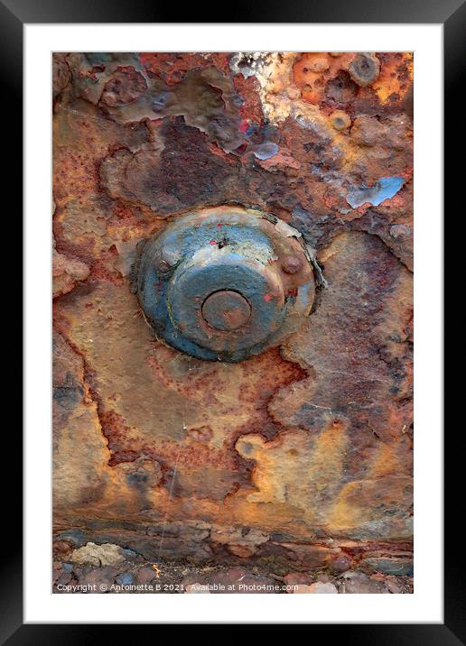 Rusty old thing  Framed Mounted Print by Antoinette B