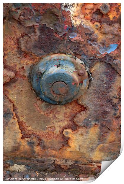 Rusty old thing  Print by Antoinette B