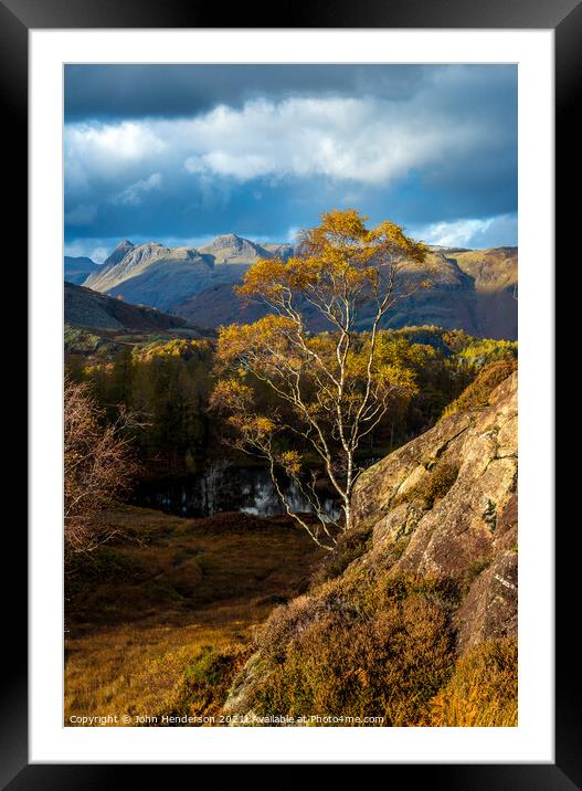Autumn  silver birch Lake District. Framed Mounted Print by John Henderson