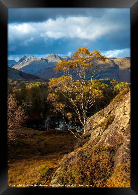 Autumn  silver birch Lake District. Framed Print by John Henderson