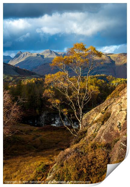 Autumn  silver birch Lake District. Print by John Henderson