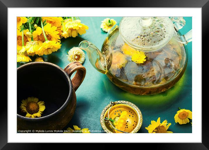 Glass teapot with flower tea,herbalism Framed Mounted Print by Mykola Lunov Mykola