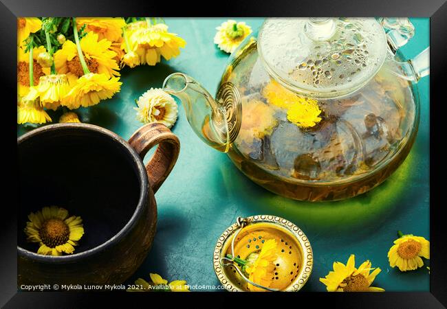 Glass teapot with flower tea,herbalism Framed Print by Mykola Lunov Mykola