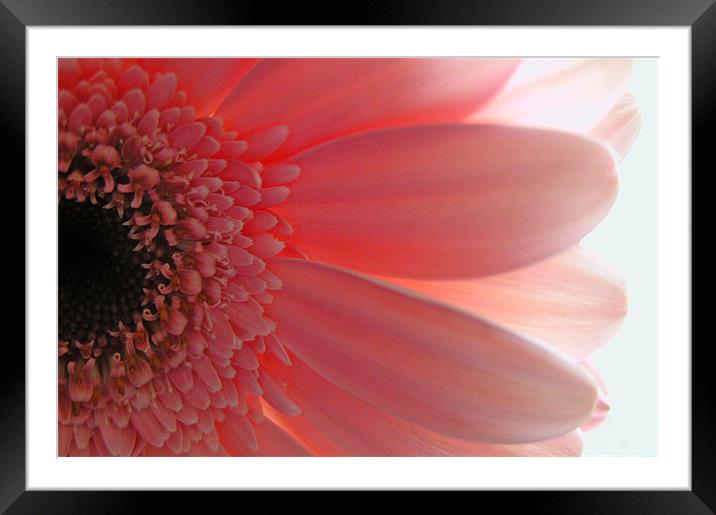 Glow Framed Mounted Print by Michelle O'Shea