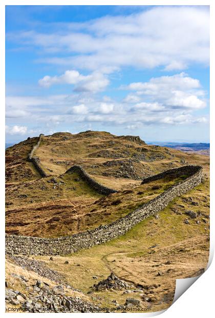 Drystone wall, Lingmoor Fell, Cumbria Print by Photimageon UK