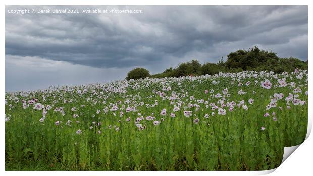 Fields of Healing Print by Derek Daniel