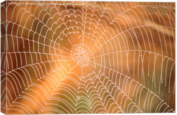 Sunlit Spiders Web A Riverbank Abstract Canvas Print by Derek Daniel