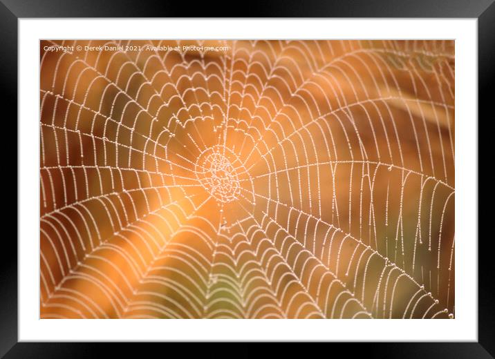 Sunlit Spiders Web A Riverbank Abstract Framed Mounted Print by Derek Daniel