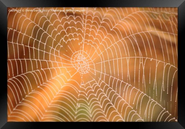Sunlit Spiders Web A Riverbank Abstract Framed Print by Derek Daniel