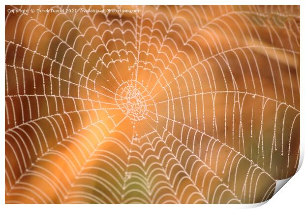 Sunlit Spiders Web A Riverbank Abstract Print by Derek Daniel