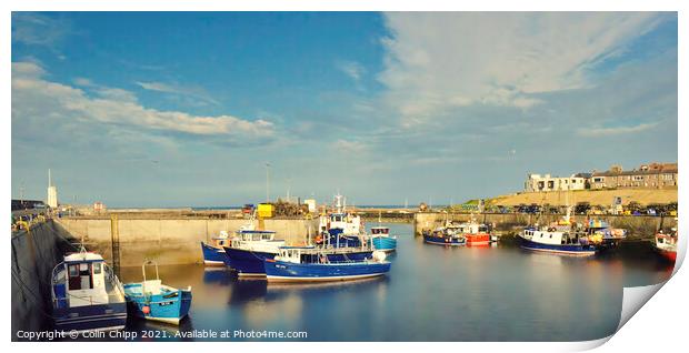 Seahouses Print by Colin Chipp