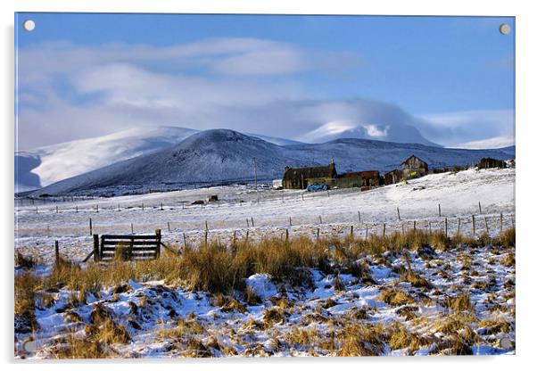 A Snowy Highland Winter Acrylic by Jacqi Elmslie