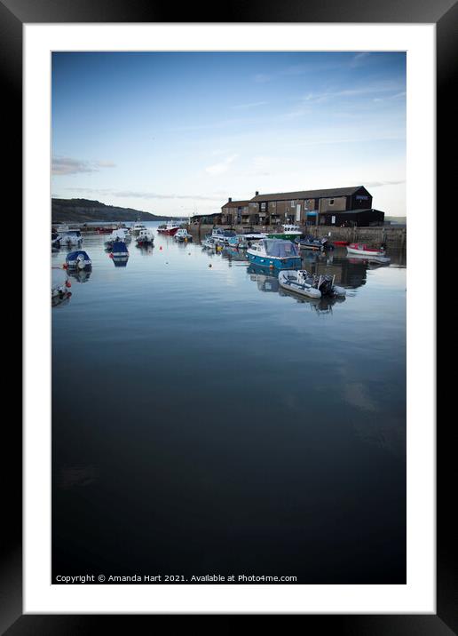 Lyme Regis harbour Framed Mounted Print by Amanda Hart