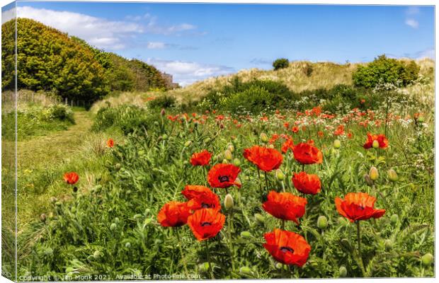 Poppies and Bamburgh Castle Canvas Print by Jim Monk