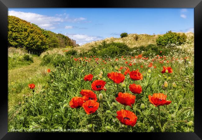 Poppies and Bamburgh Castle Framed Print by Jim Monk