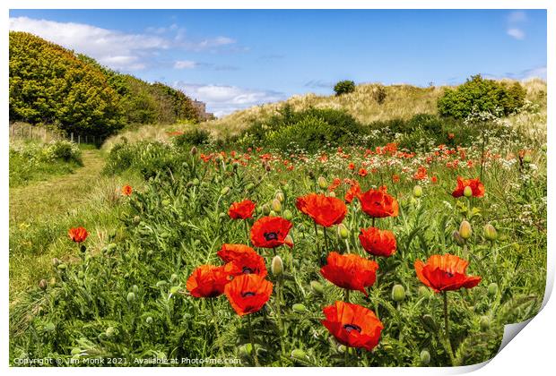 Poppies and Bamburgh Castle Print by Jim Monk