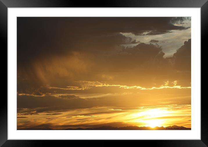 The Golden Touch of Evening Framed Mounted Print by Sharon Pfeiffer
