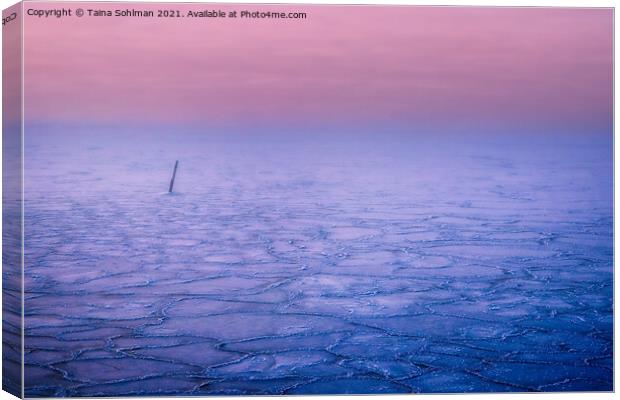Pink Haze over Frozen Sea  Canvas Print by Taina Sohlman