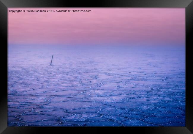 Pink Haze over Frozen Sea  Framed Print by Taina Sohlman