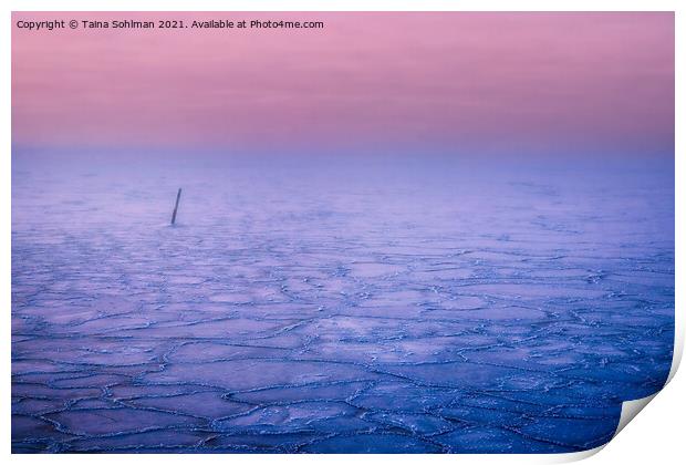 Pink Haze over Frozen Sea  Print by Taina Sohlman