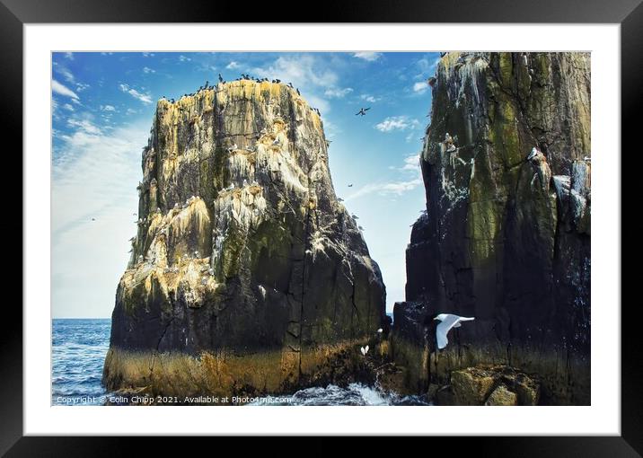 Pinnacles at Staple Island Framed Mounted Print by Colin Chipp