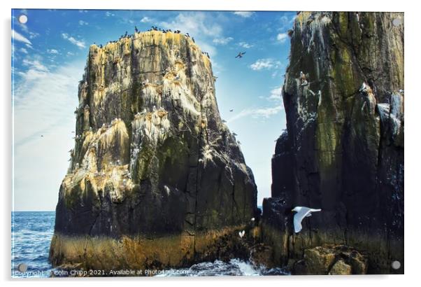 Pinnacles at Staple Island Acrylic by Colin Chipp