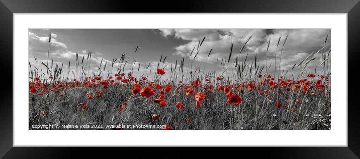 Poppies - red colour pop Framed Mounted Print by Melanie Viola
