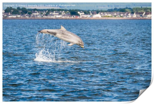 Bottlenose Dolphin (Tursiops truncatus) breaching in the Cromarty Firth Print by Howard Kennedy