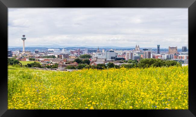 Liverpool skyline over a flower meadow Framed Print by Jason Wells