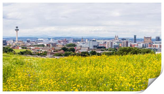 Liverpool skyline over a flower meadow Print by Jason Wells