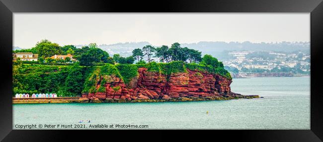 The Red Cliffs Of Torbay  Framed Print by Peter F Hunt