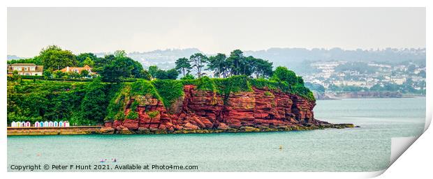 The Red Cliffs Of Torbay  Print by Peter F Hunt