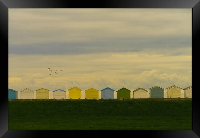 Beach Huts At Lancing Seafront Framed Print by Chris Lord