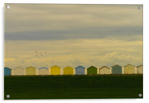 Beach Huts At Lancing Seafront Acrylic by Chris Lord