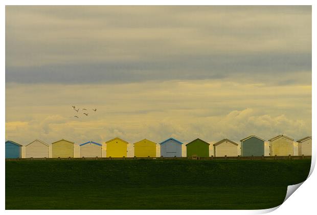 Beach Huts At Lancing Seafront Print by Chris Lord