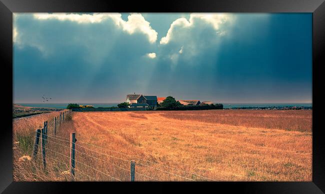 Sheep Farm On The Sussex Downs Framed Print by Chris Lord