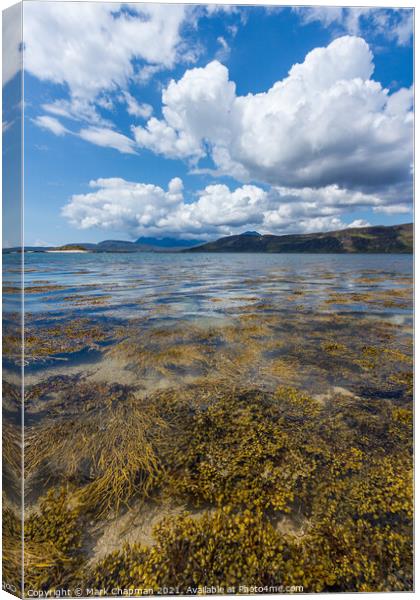 Loch Eishort seaweed  and Cuillin, Skye Canvas Print by Photimageon UK