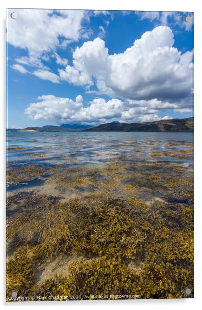 Loch Eishort seaweed  and Cuillin, Skye Acrylic by Photimageon UK
