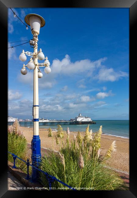 Eastbourne beach and pier in 2011 (before fire) Framed Print by Photimageon UK